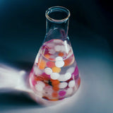 Environmentally Friendly Interior - Natural Decor for Healthy Living