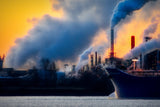 Petroleum Industry Impact on Standard Sofas