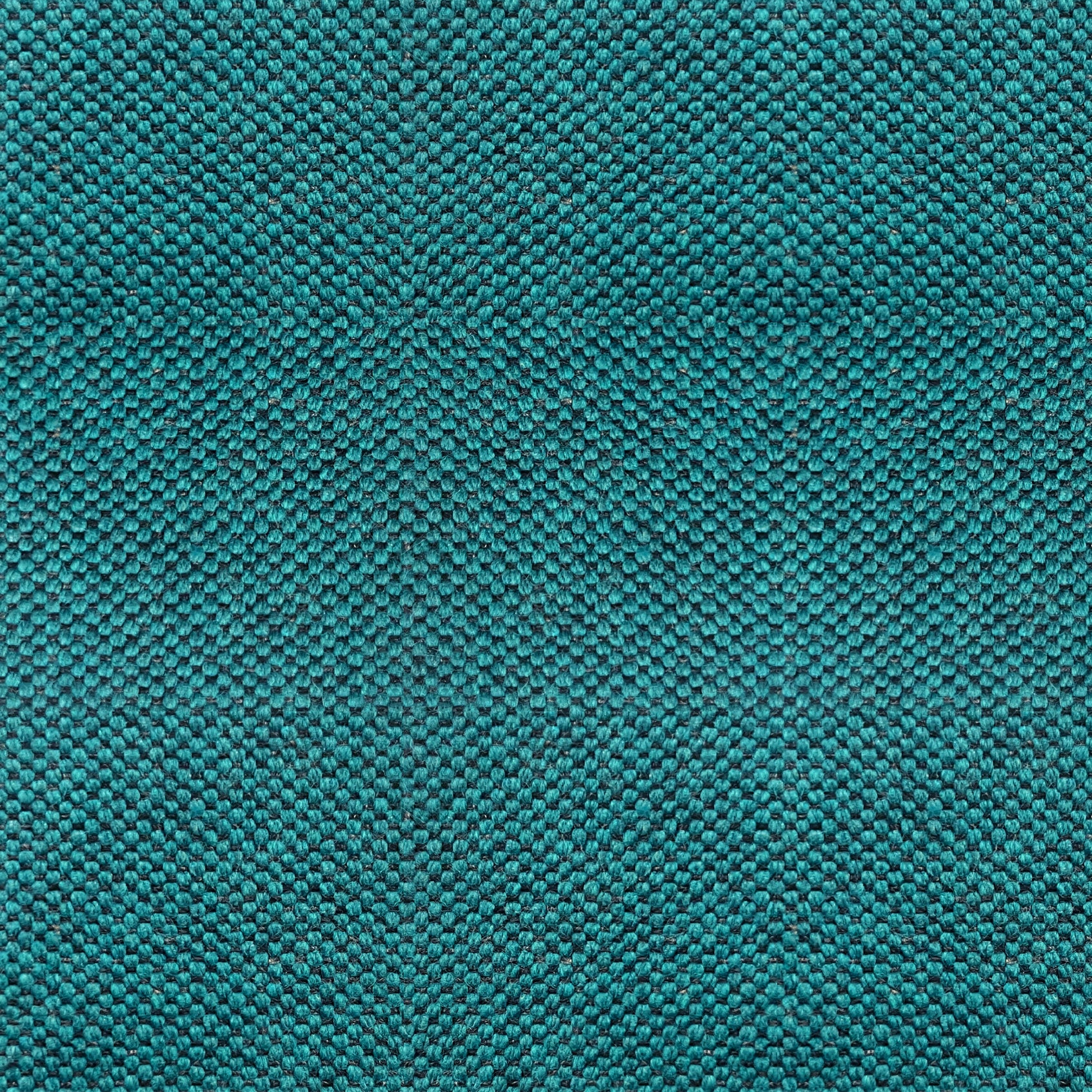 Cotton 831 Forrest Green