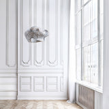 Fuga ceiling light