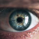 Transparent Furniture Composition