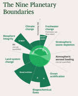 Sustainability: Here Is What You Really Need to Know. Discover the Nine Planetary Boundaries.