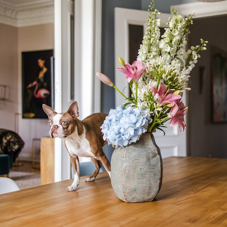 Sustainable furnishing for a comfortable home