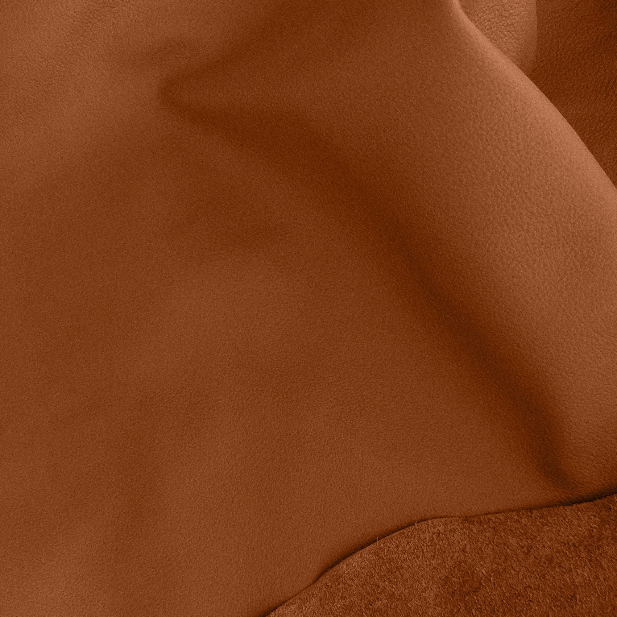 Leather 4 Cognac