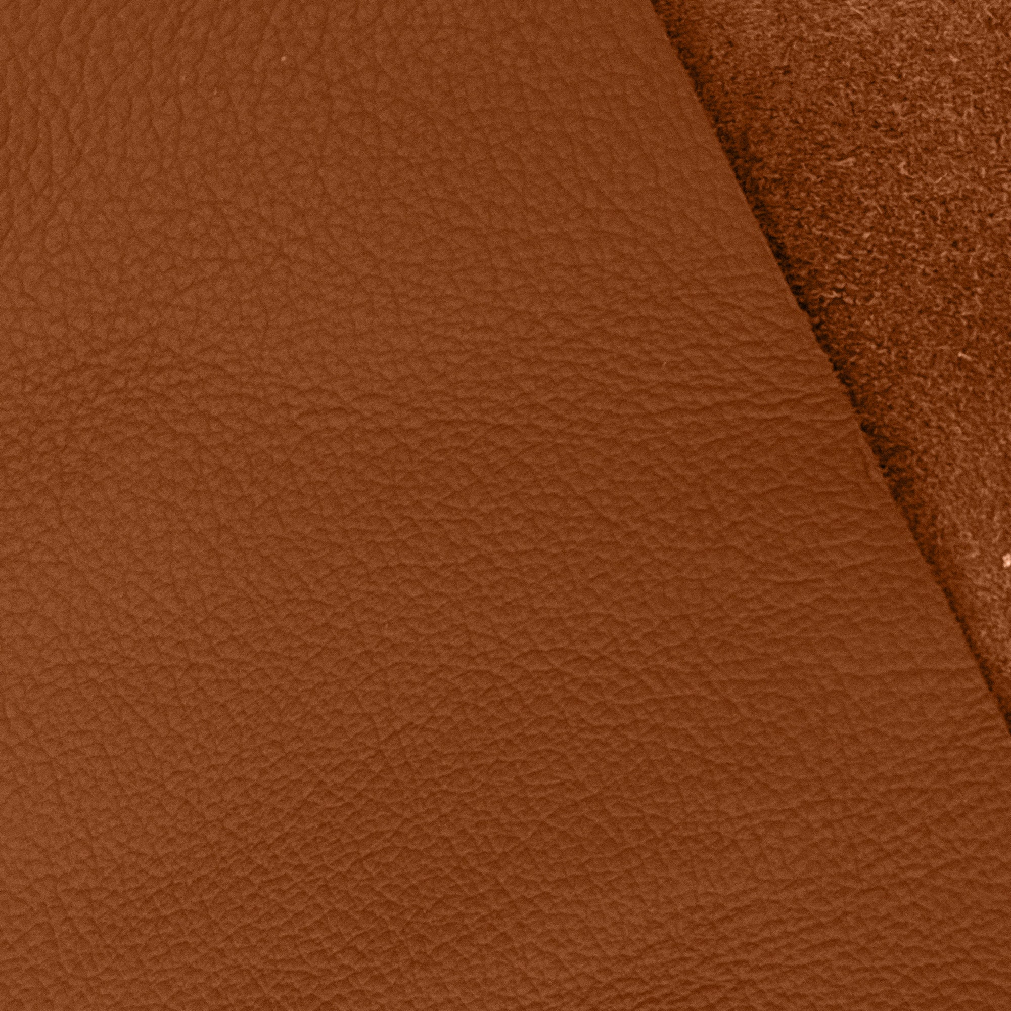 Leather 4 Cognac