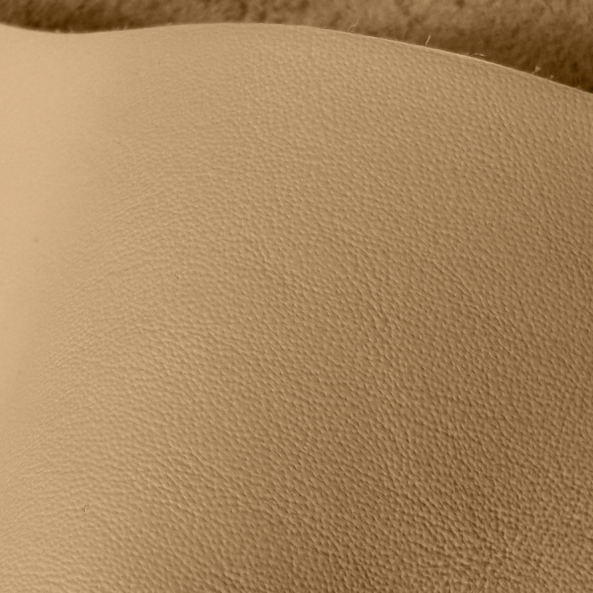 Leather 9 Cookie