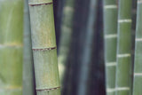 Bamboo Finish - Renewable Biosofa Material