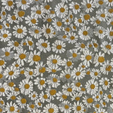 Patterns Chamomile