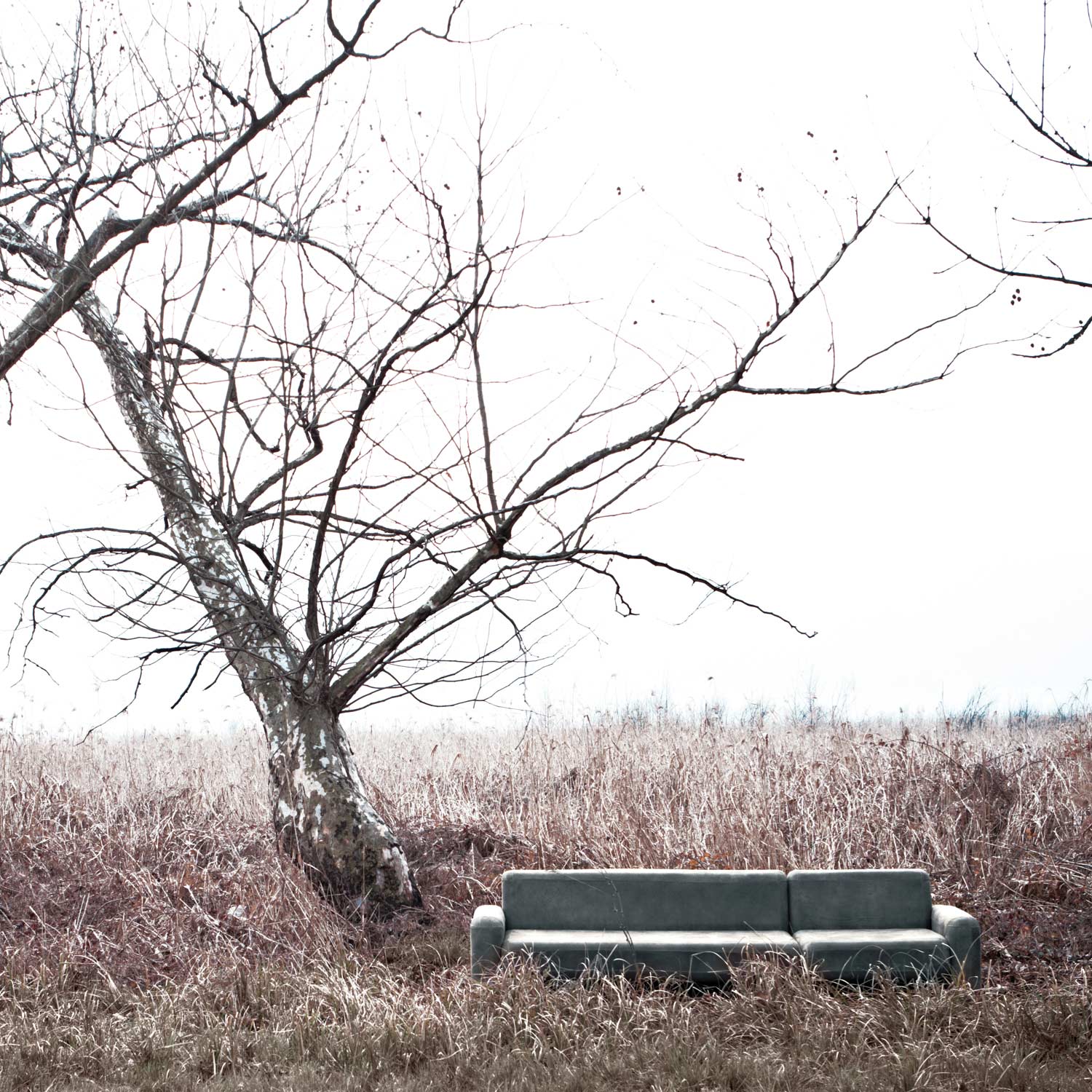 grey leather sofa in natural ambient